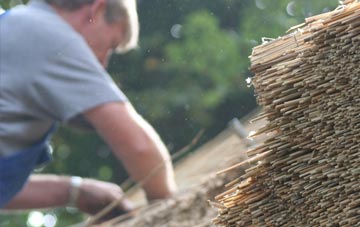 professional Brownsburn thatchers